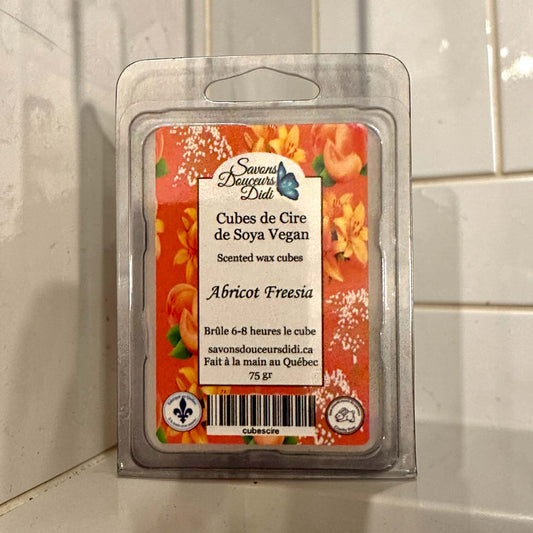 Cubes de cire Abricot Freesia